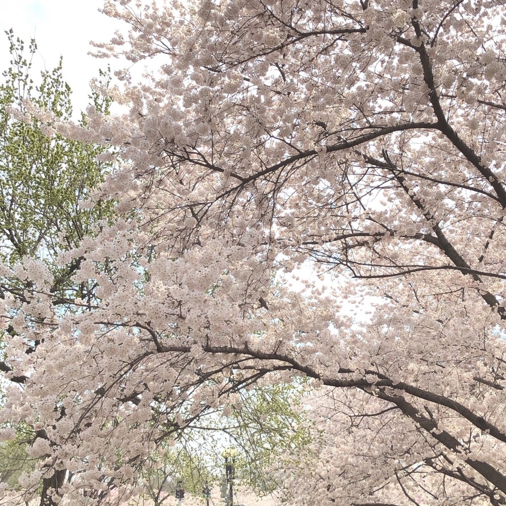 Meet your Posher, Ellie